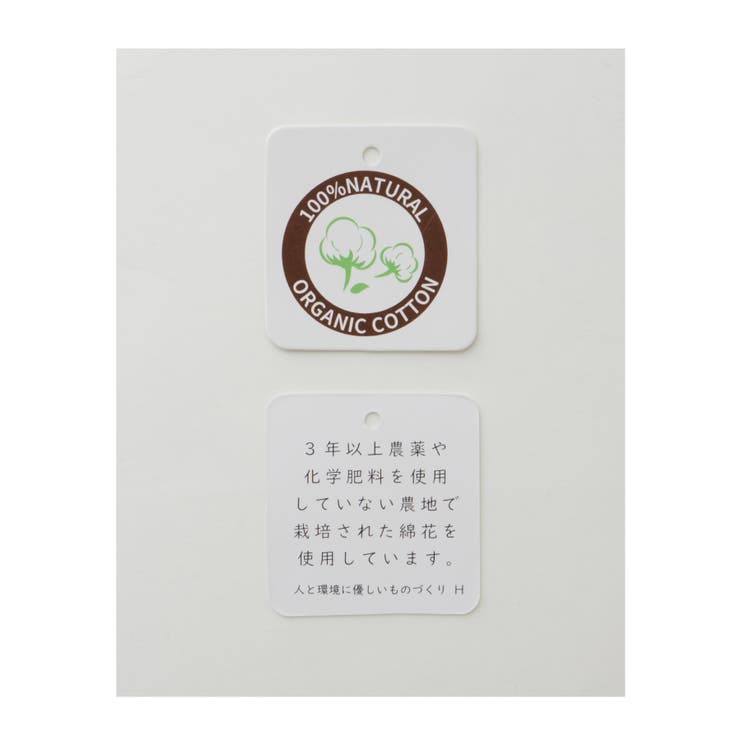 トップス Tシャツ カットソー | Honeys | 詳細画像2 