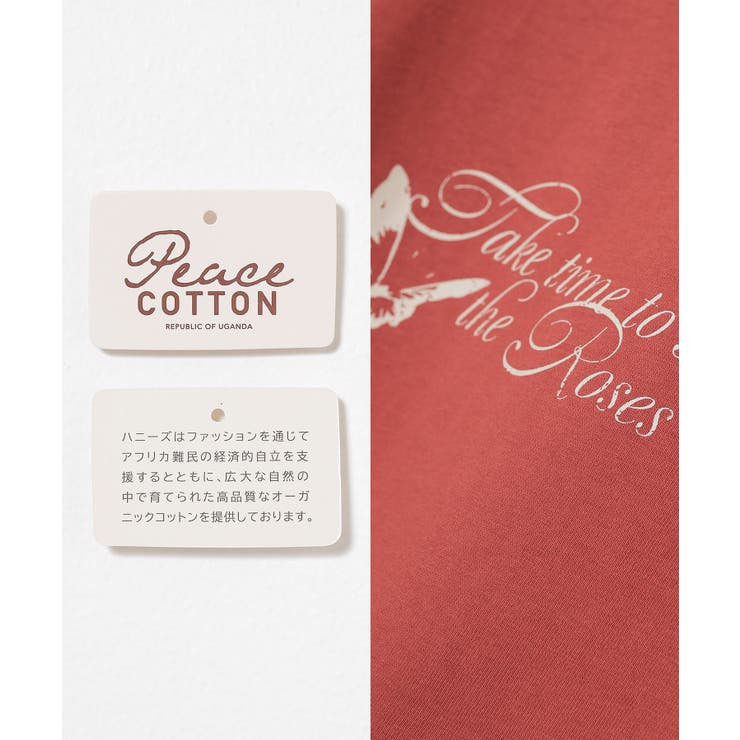 トップス Tシャツ 半袖Tシャツ | Honeys | 詳細画像3 