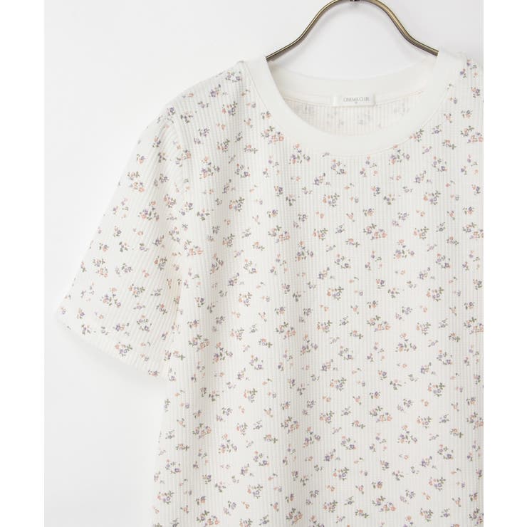 トップス Tシャツ 半袖Tシャツ | Honeys | 詳細画像10 
