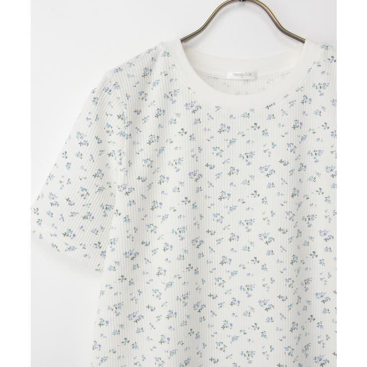 トップス Tシャツ 半袖Tシャツ | Honeys | 詳細画像12 
