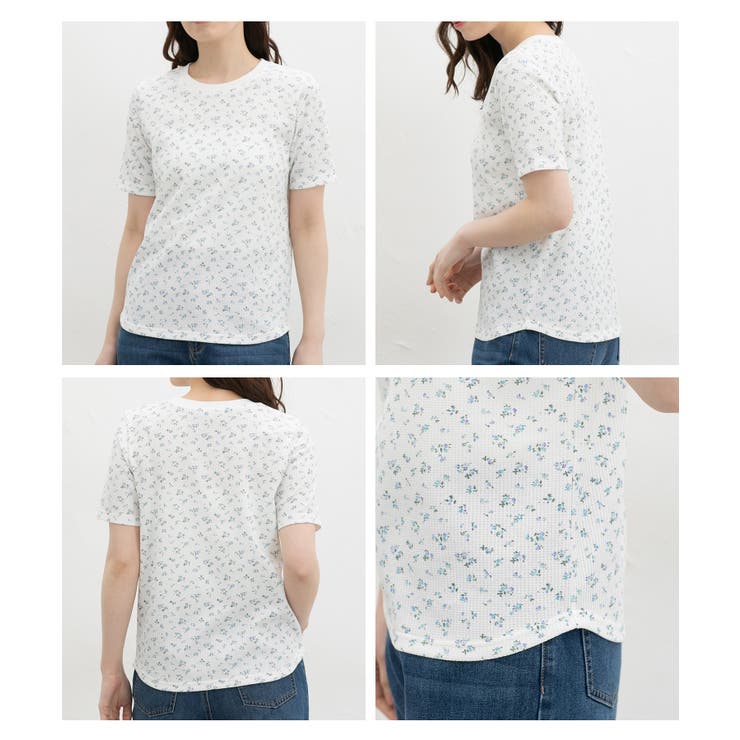 トップス Tシャツ 半袖Tシャツ | Honeys | 詳細画像16 