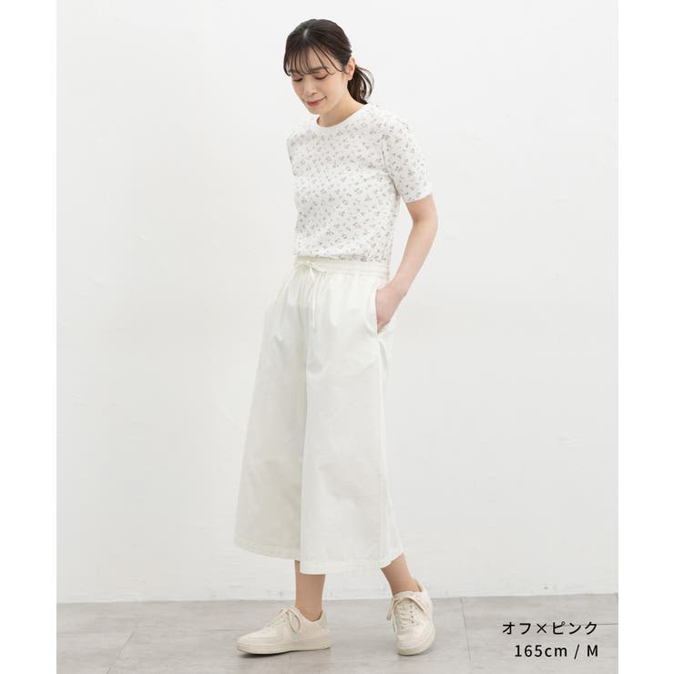 トップス Tシャツ 半袖Tシャツ | Honeys | 詳細画像9 