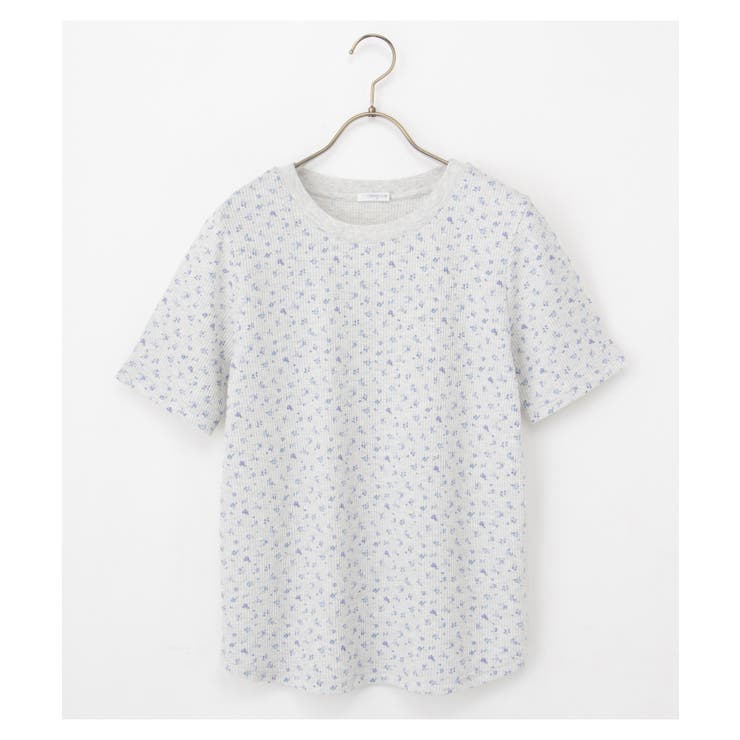 【ハニーズ】トップス Tシャツ カットソー | Honeys | 詳細画像16 