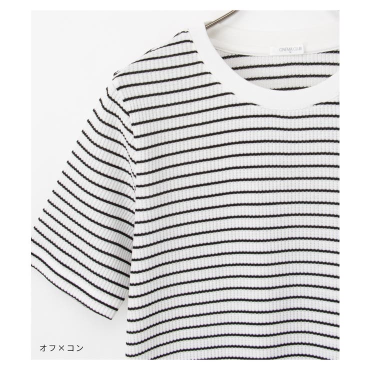 【ハニーズ】トップス Tシャツ カットソー | Honeys | 詳細画像6 