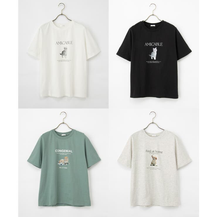トップス Tシャツ 半袖Tシャツ | Honeys | 詳細画像16 