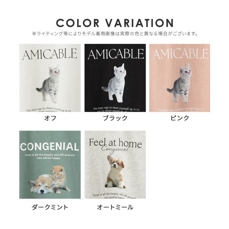 トップス Tシャツ 半袖Tシャツ | Honeys | 詳細画像17 