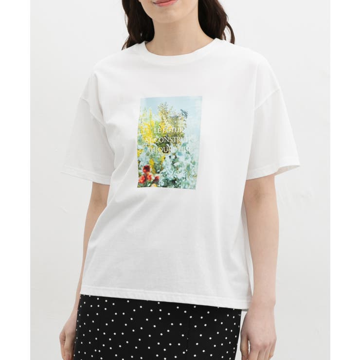 トップス Tシャツ 半袖Tシャツ | Honeys | 詳細画像10 