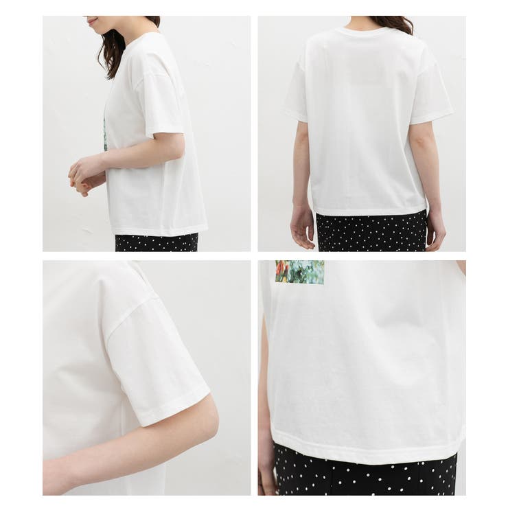 トップス Tシャツ 半袖Tシャツ | Honeys | 詳細画像14 