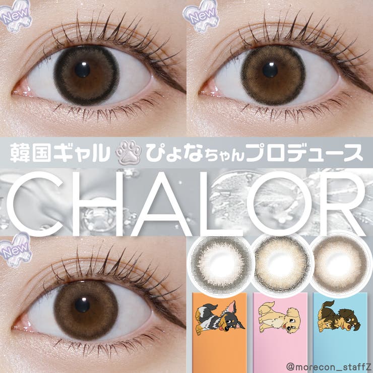 カラコン チャロル ワンデー【1箱10枚入】度あり 度なし 14.2mm ぴょな CHALOR 1day UVカット 低含水 カラー コンタクト