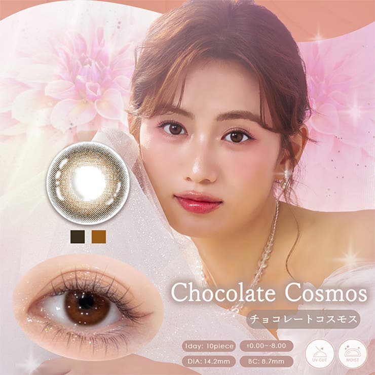チョコレートコスモス