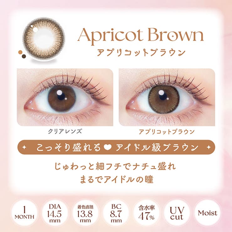 カラコン エバーカラー マンスリー【1箱2枚入】度あり 度なし 14.5mm 新木優子 Ever Color 1month UVカット 低含水 カラー コンタクト