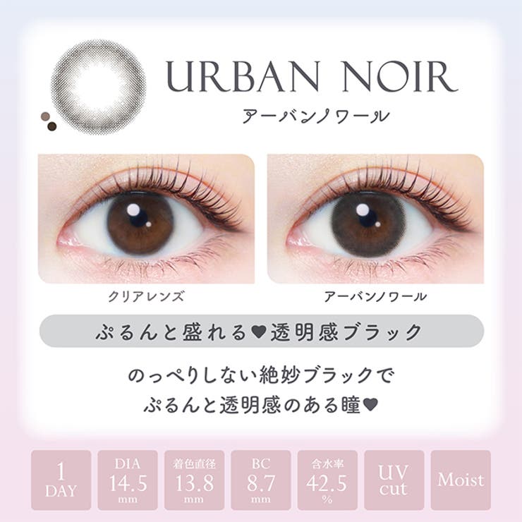 カラコン エバーカラー ワンデー ナチュラル モイストレーベル UV 1箱20枚入 度あり 度なし 14.5mm 新木優子 EverColor 1day UVカット カラーコンタクト
