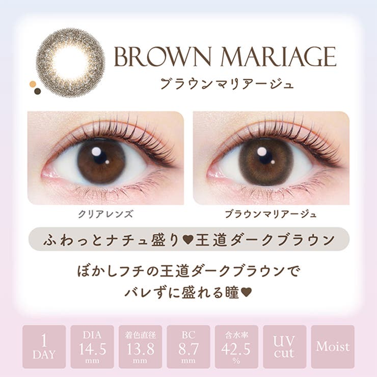 カラコン エバーカラー ワンデー ナチュラル モイストレーベル UV 1箱20枚入 度あり 度なし 14.5mm 新木優子 EverColor 1day UVカット カラーコンタクト