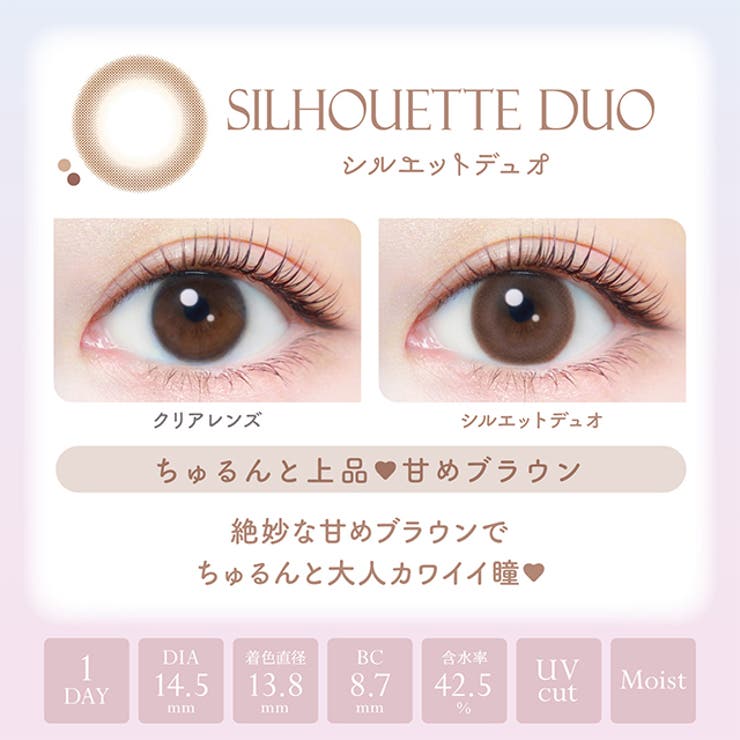 カラコン エバーカラー ワンデー ナチュラル モイストレーベル UV 1箱20枚入 度あり 度なし 14.5mm 新木優子 EverColor 1day UVカット カラーコンタクト