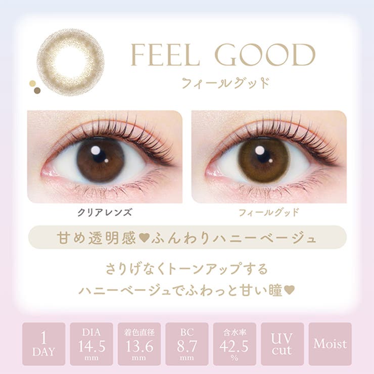 カラコン エバーカラー ワンデー ナチュラル モイストレーベル UV 1箱20枚入 度あり 度なし 14.5mm 新木優子 EverColor 1day UVカット カラーコンタクト