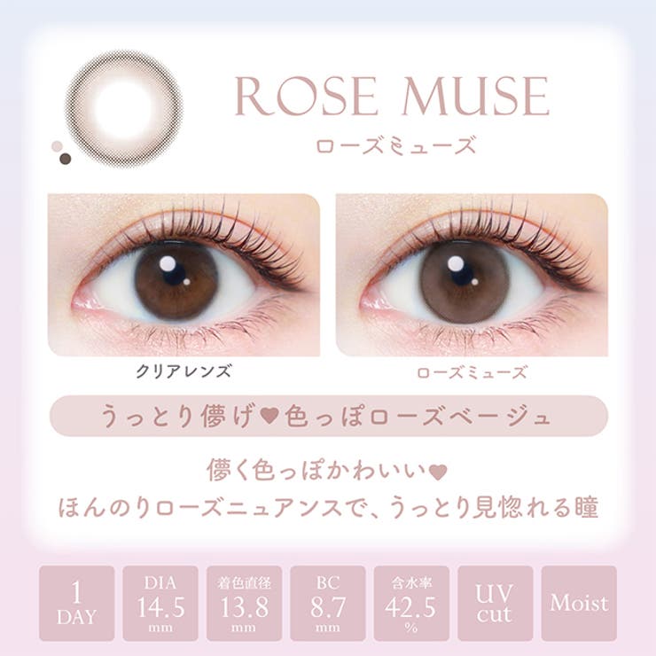 カラコン エバーカラー ワンデー ナチュラル モイストレーベル UV 1箱20枚入 度あり 度なし 14.5mm 新木優子 EverColor 1day UVカット カラーコンタクト
