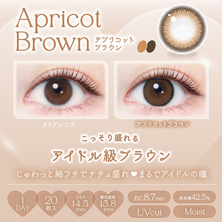 カラコン エバーカラー ワンデー ナチュラル モイストレーベル UV 1箱20枚入 度あり 度なし 14.5mm 新木優子 EverColor 1day UVカット カラーコンタクト