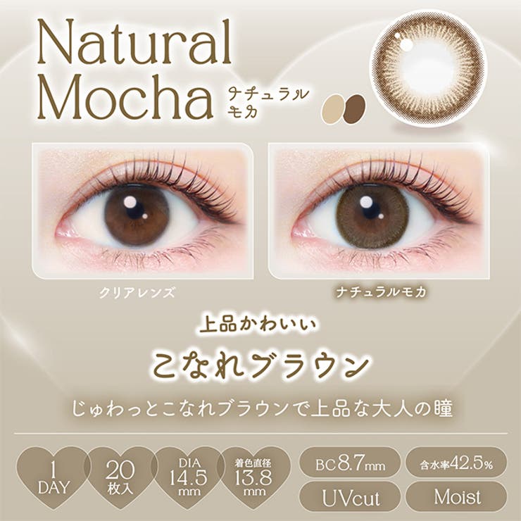 カラコン エバーカラー ワンデー ナチュラル モイストレーベル UV 1箱20枚入 度あり 度なし 14.5mm 新木優子 EverColor 1day UVカット カラーコンタクト