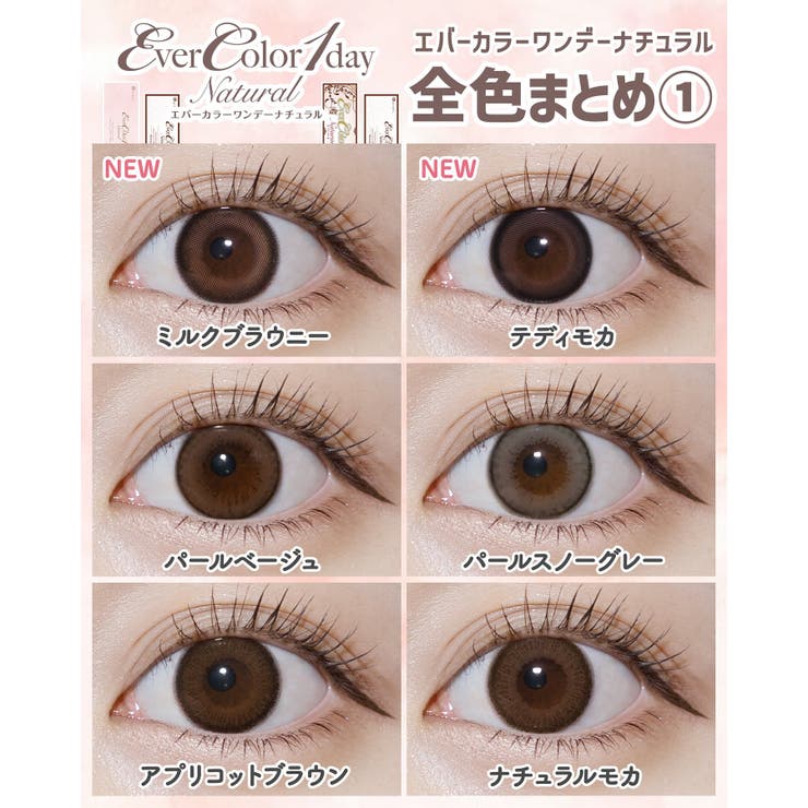 カラコン エバーカラー ワンデー ナチュラル モイストレーベル UV 1箱20枚入 度あり 度なし 14.5mm 新木優子 EverColor 1day UVカット カラーコンタクト