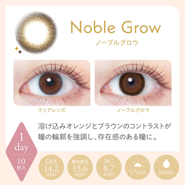 カラコン レリッシュ 【1箱10枚入】 度あり 度なし 14.0mm 14.2mm 14.5mm わかな ナチュラル1dayワンデー アイレ コンタクト UVカット