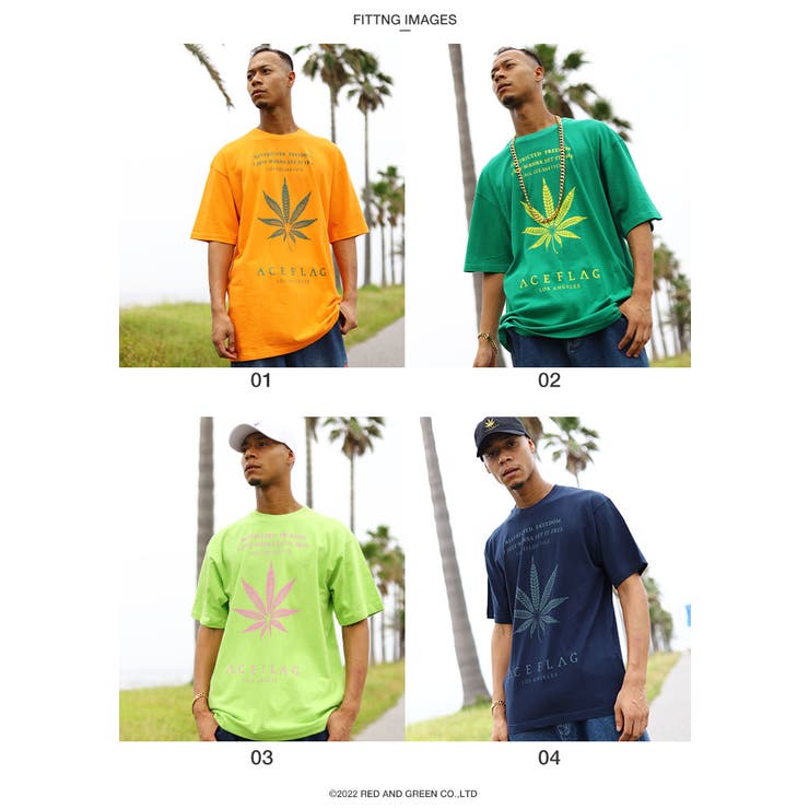 ACEFLAG(エースフラッグ)のTシャツ(レゲエ・ラスタ)モデル着用画像4