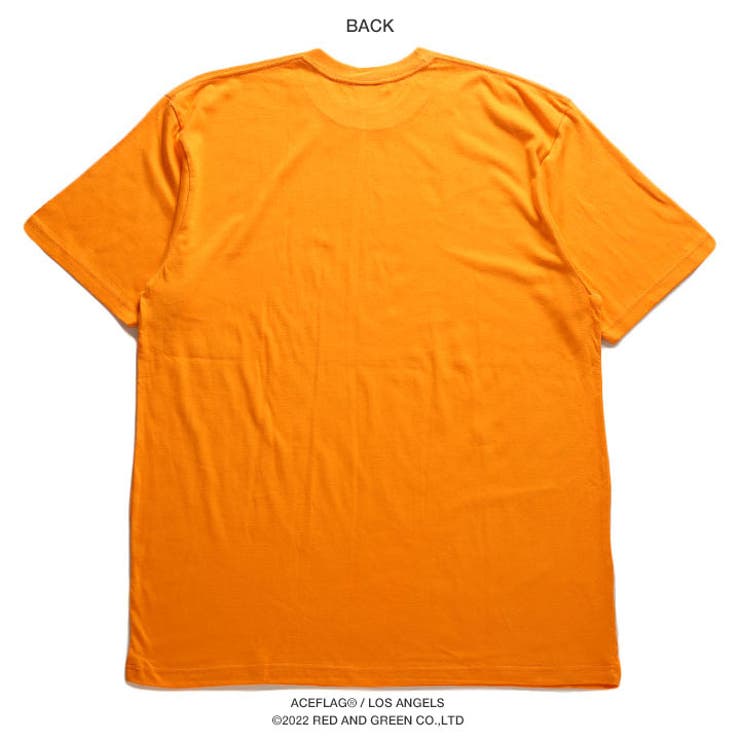 ACEFLAG(エースフラッグ)のTシャツ(レゲエ・ラスタ)商品画像