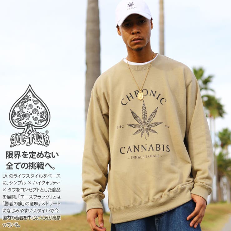 トレーナー【AF TL SW | 本格派大人のB系  | 詳細画像1 