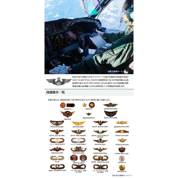 メガ激レア 航空自衛隊ピンバッチセット 方面 学校 その他 航空自衛隊