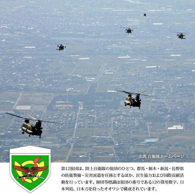 第12旅団(防衛省陸上自衛隊グッズ)のワッペン(パッチ/PX品）のブランド説明文入り画像(モデル画像1)