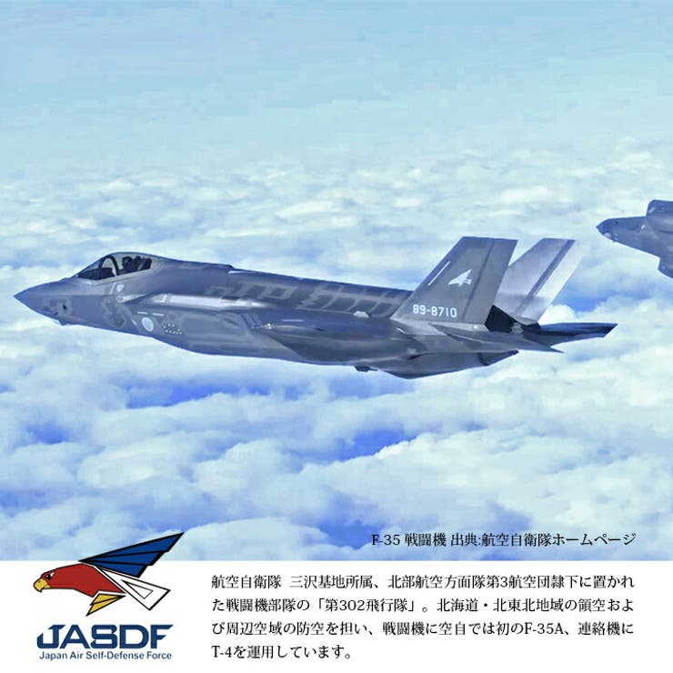 第302飛行隊(防衛省航空自衛隊グッズ)のトートバッグ(バッグ)の品番と展開カラー
