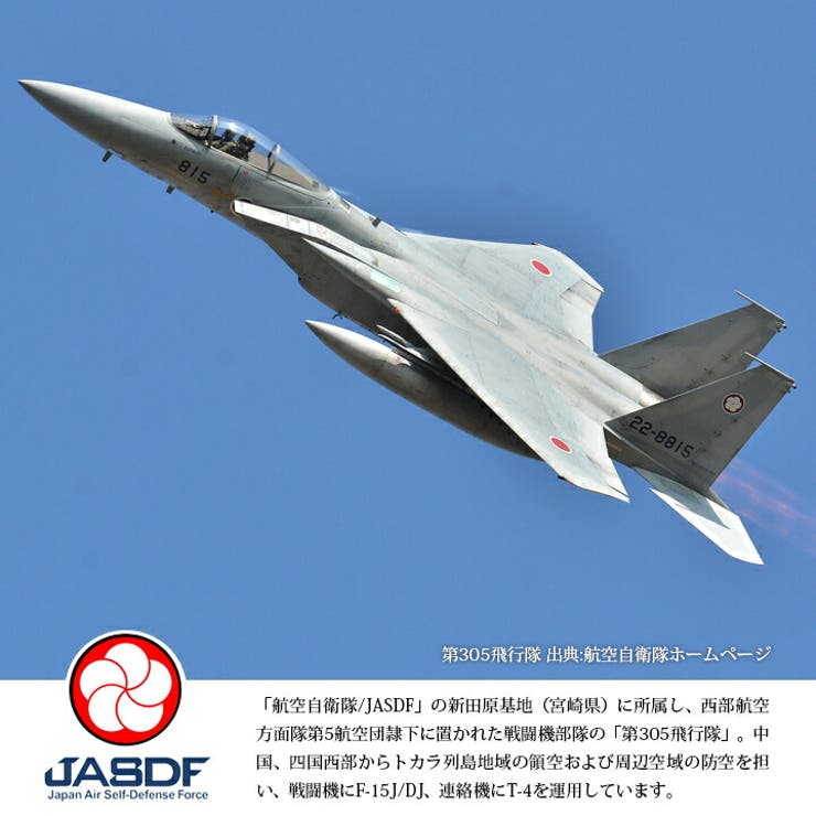 ワッペン自衛隊 グッズ 第305飛行隊[品番：HKHM0006349]｜本格派