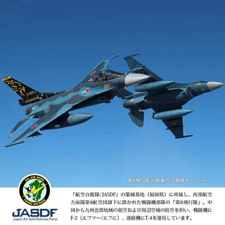 ワッペン自衛隊 グッズ 第8飛行隊[品番：HKHM0006354]｜本格派