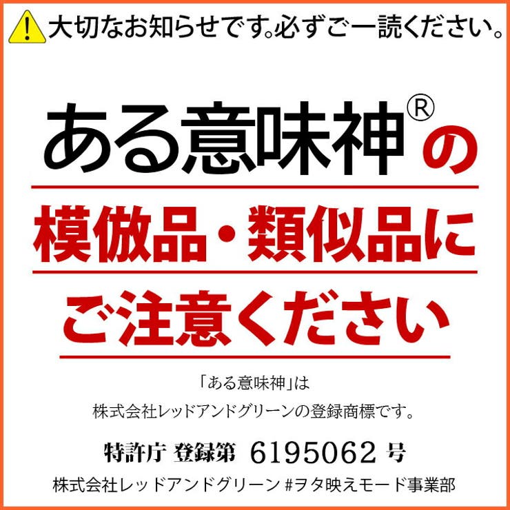 Tシャツ ある意味神 Tシャツ | 本格派大人のB系  | 詳細画像9 