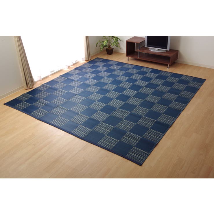 洗えるポリプロピレンカーペット「ウィード」174×220cm | IKEHIKO | 詳細画像7 