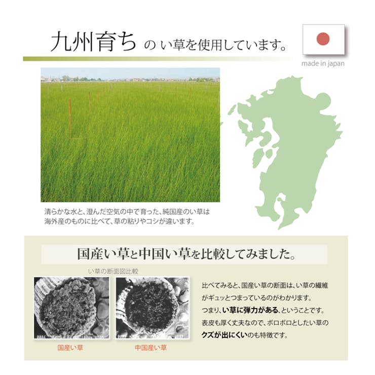 い草ごろ寝マット 『さわやか マット』 約70×120cm | IKEHIKO | 詳細画像6 