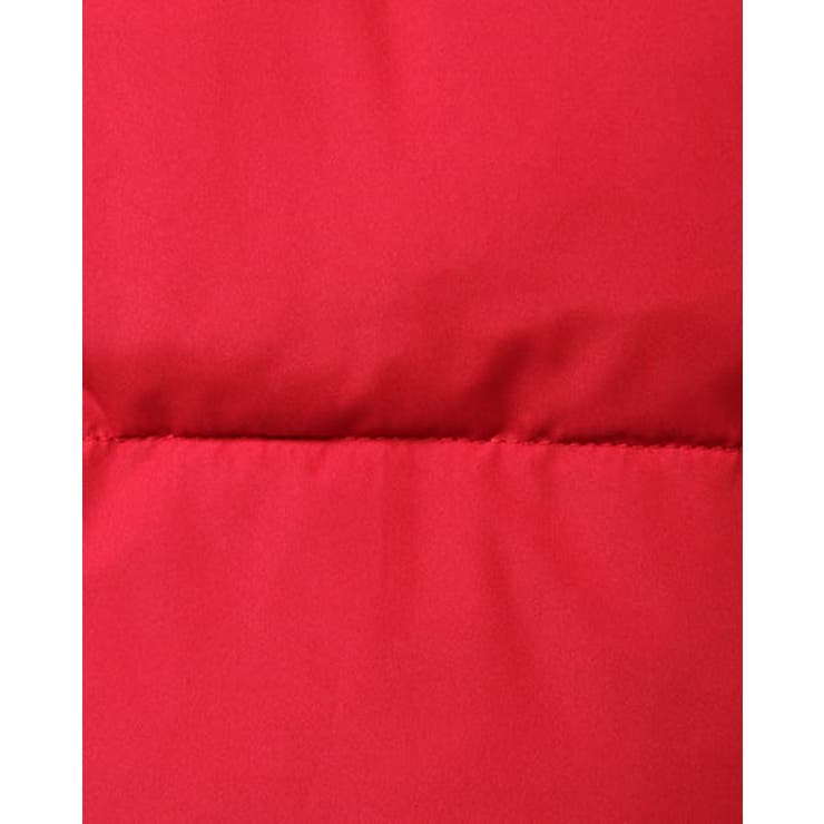 BIGフードショートエコダウン | INGNI  | 詳細画像5 