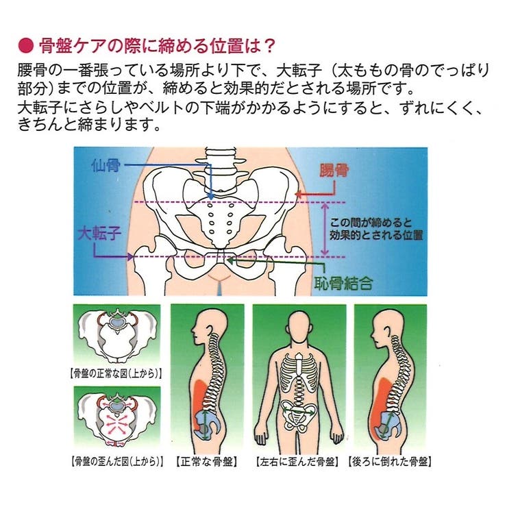 40代からのお悩みサポート 犬印骨盤ケアおやすみサポーター 品番 Ijhw 犬印本舗 イヌ ジルシショップ のレディースファッション通販 Shoplist ショップリスト