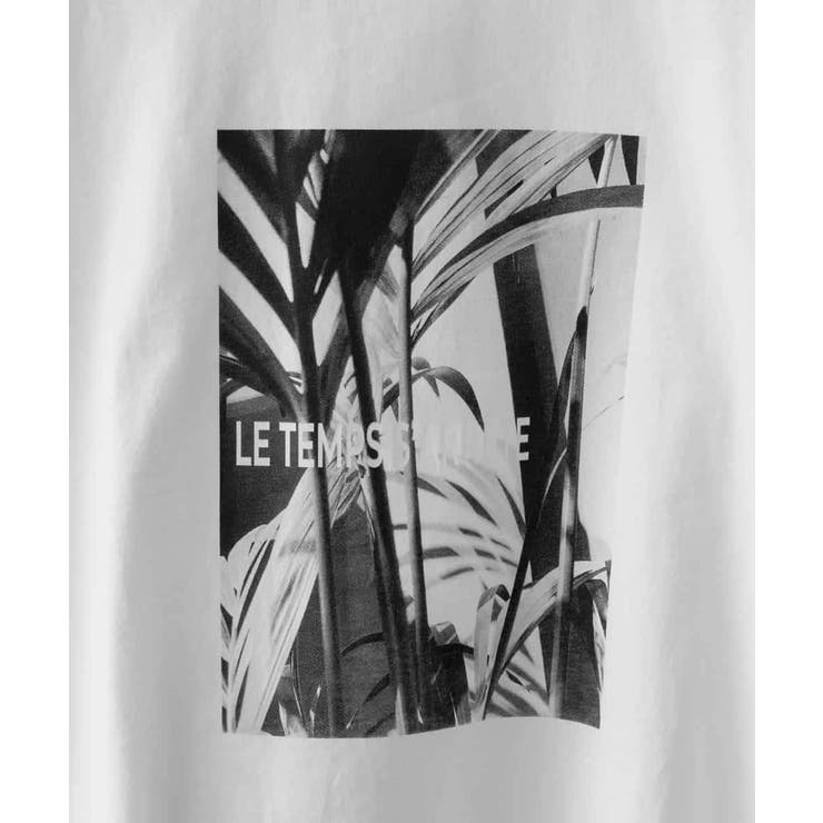 [WEB限定カラー]フォトTシャツ | MICHEL KLEIN | 詳細画像65 