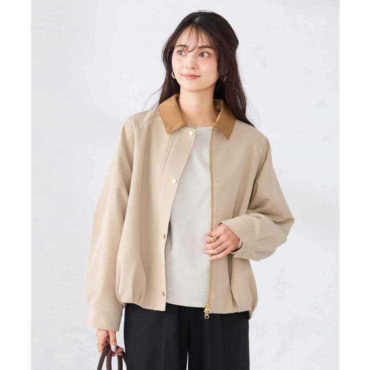 ベージュ | ステンカラーブルゾン | a.v.v【WOMEN】