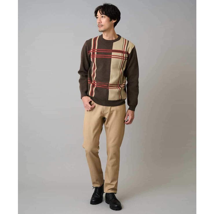 【洗濯機で洗える】チェックジャカードクルーネックニット | a.v.v【MEN】 | 詳細画像6 