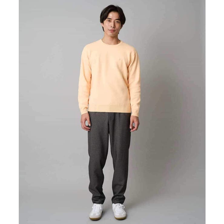 【洗濯機で洗える】ジャカードクルーネックニット | a.v.v【MEN】 | 詳細画像5 