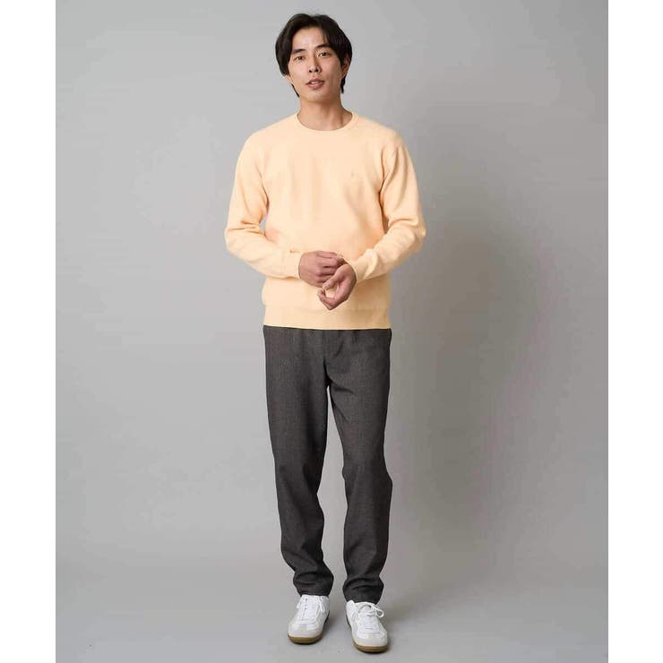 【洗濯機で洗える】ジャカードクルーネックニット | a.v.v【MEN】 | 詳細画像6 