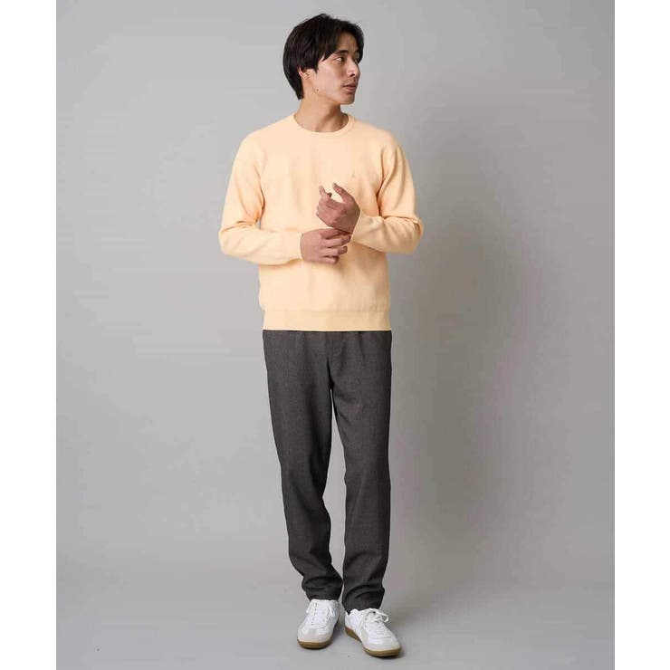 【洗濯機で洗える】ジャカードクルーネックニット | a.v.v【MEN】 | 詳細画像7 