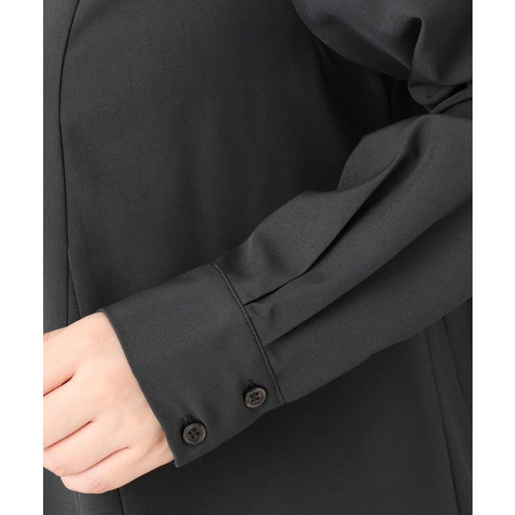 【大きいサイズ】バンドカラーブラウス | eur3 | 詳細画像14 