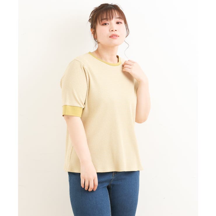 マスタード(26) | 【大きいサイズ】テレコボーダーカットソー | eur3