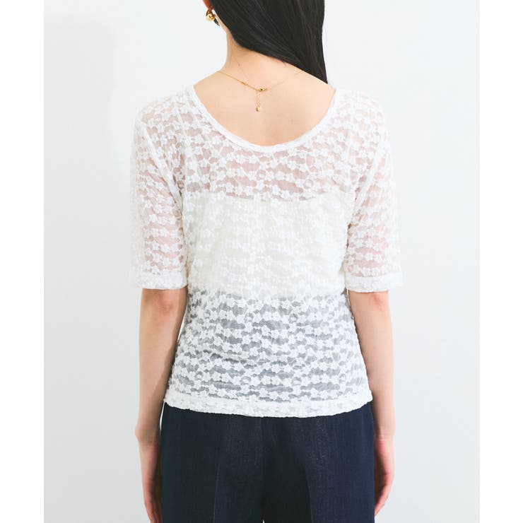 【前後2WAY】レース五分袖シアーカットプルオーバー | VIS  | 詳細画像8 