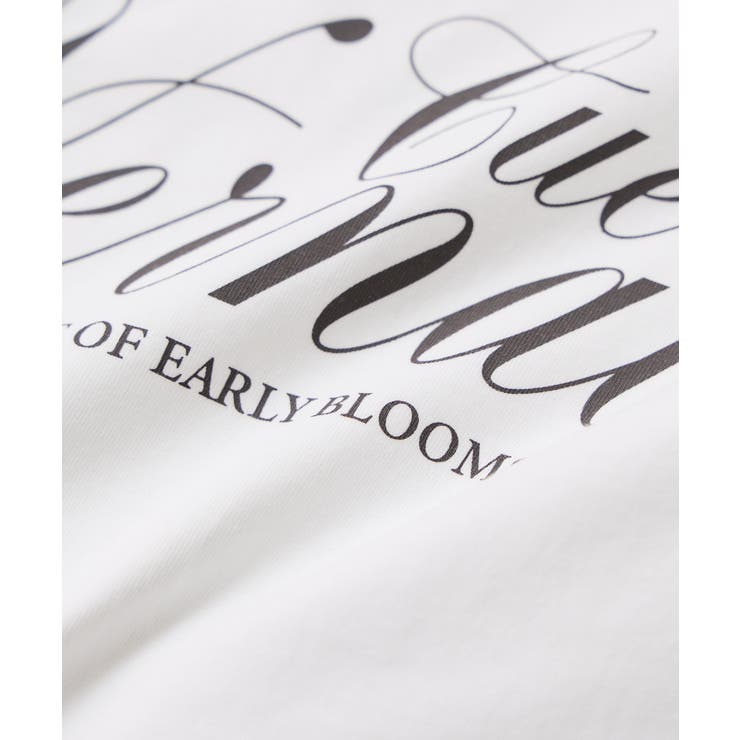 ロゴ＆フォトアソートプリントロンT | VIS  | 詳細画像20 