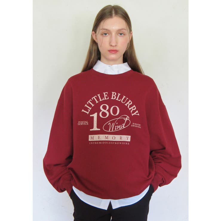 レッド(60) | ヴィンテージライクスウェットプルオーバー | VIS 