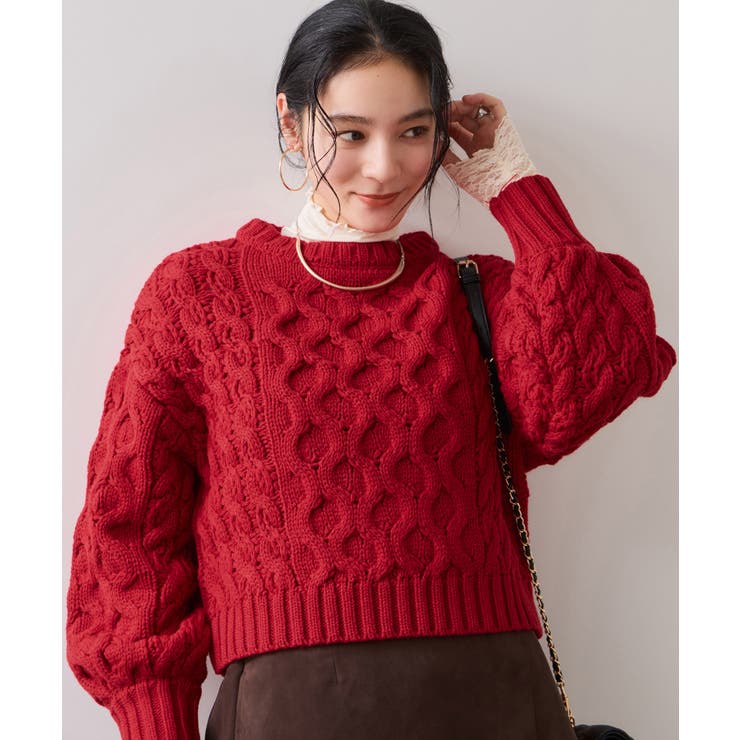 【WEB限定】ローゲージケーブルクロップドニット | VIS  | 詳細画像25 