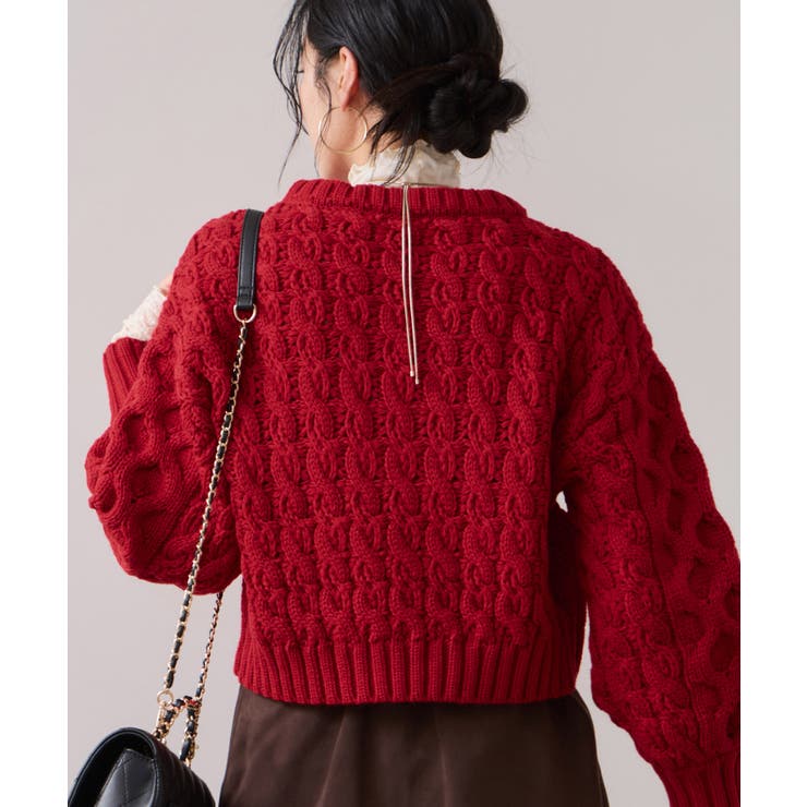 【WEB限定】ローゲージケーブルクロップドニット | VIS  | 詳細画像26 